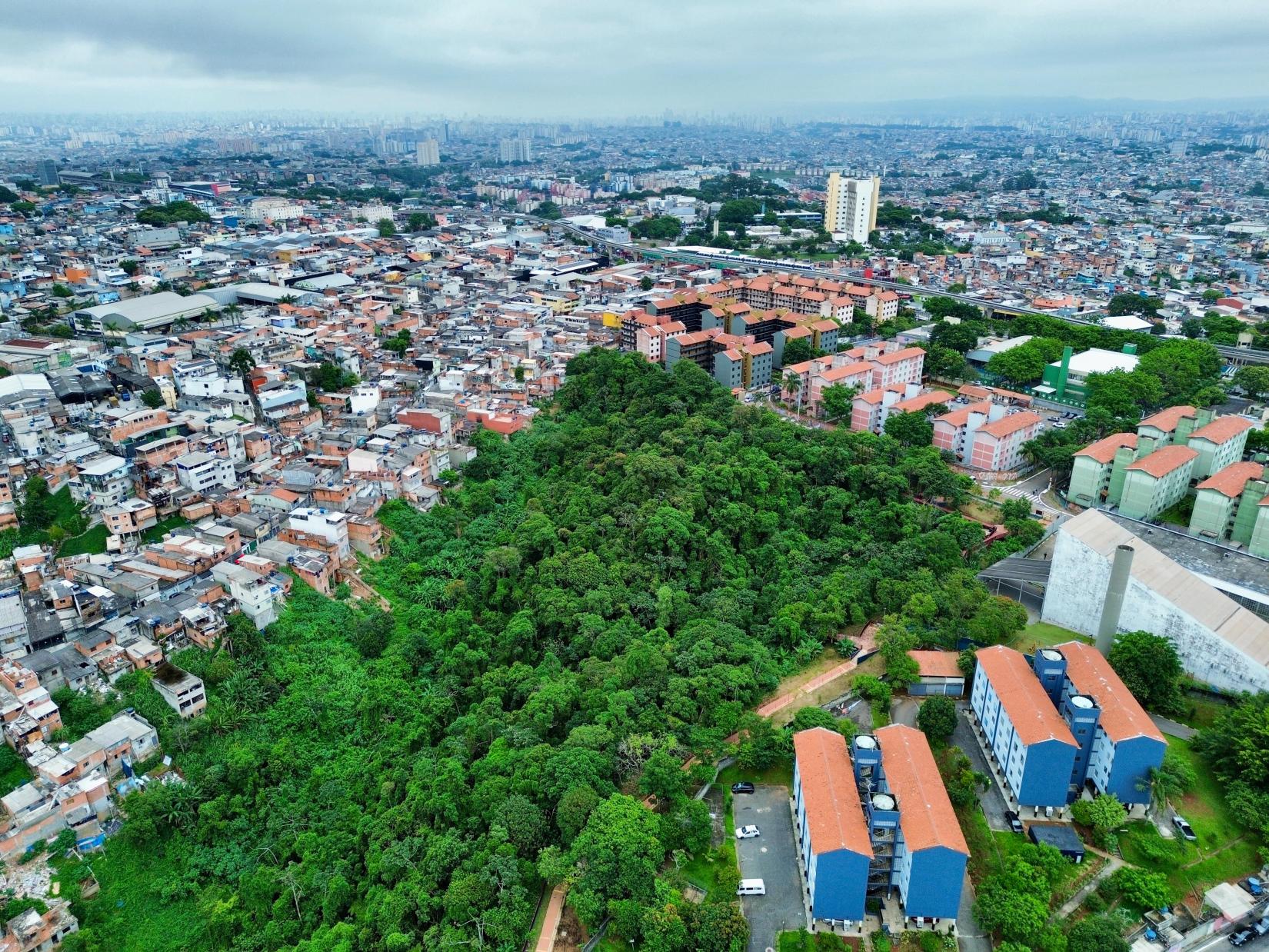 São Paulo renova parceria com ONU para ampliar parques e gestão verde