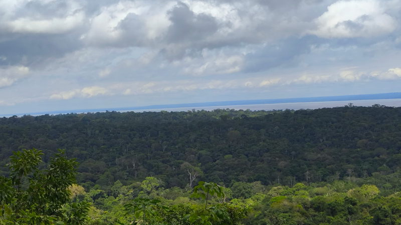 Desmatamento na Amazônia eleva temperatura e reduz chuvas na estação seca
