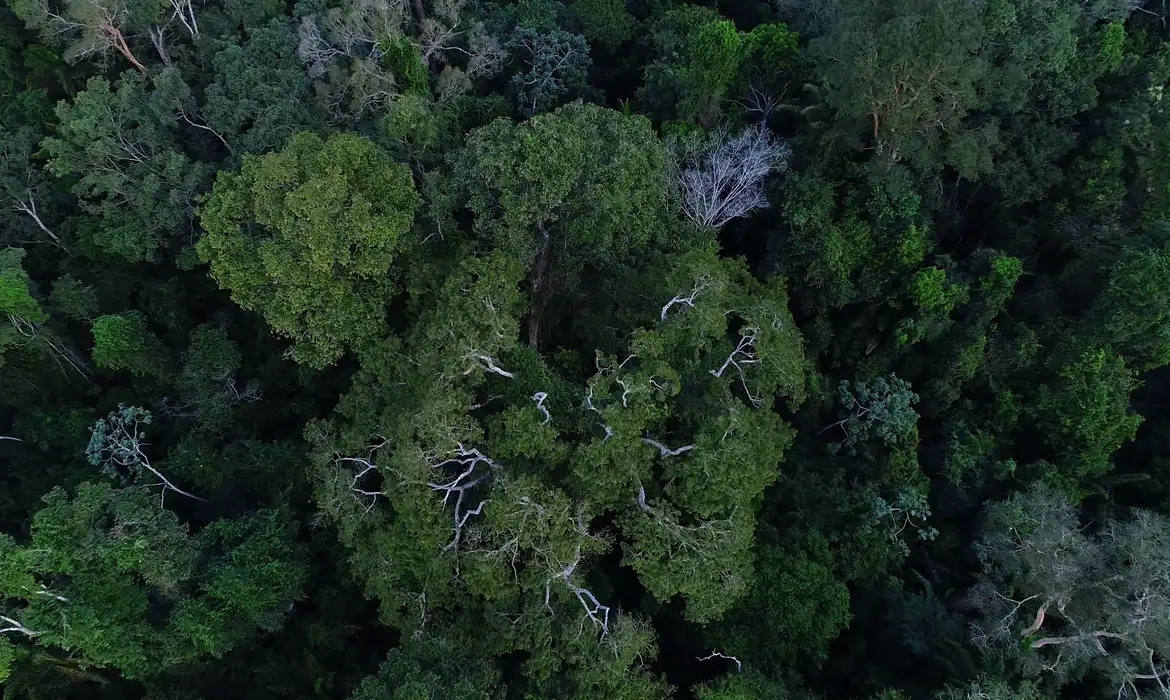Previdência e BNDES promovem ESG em fundos de pensão no Brasil