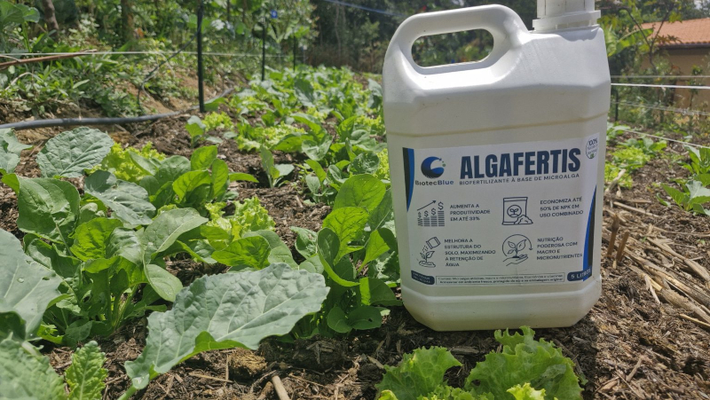 Bioinsumo de microalgas oferece alternativa sustentável aos fertilizantes