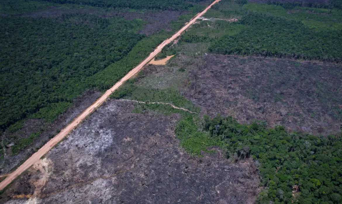 Críticas à urgência na votação de projeto que muda lei ambiental