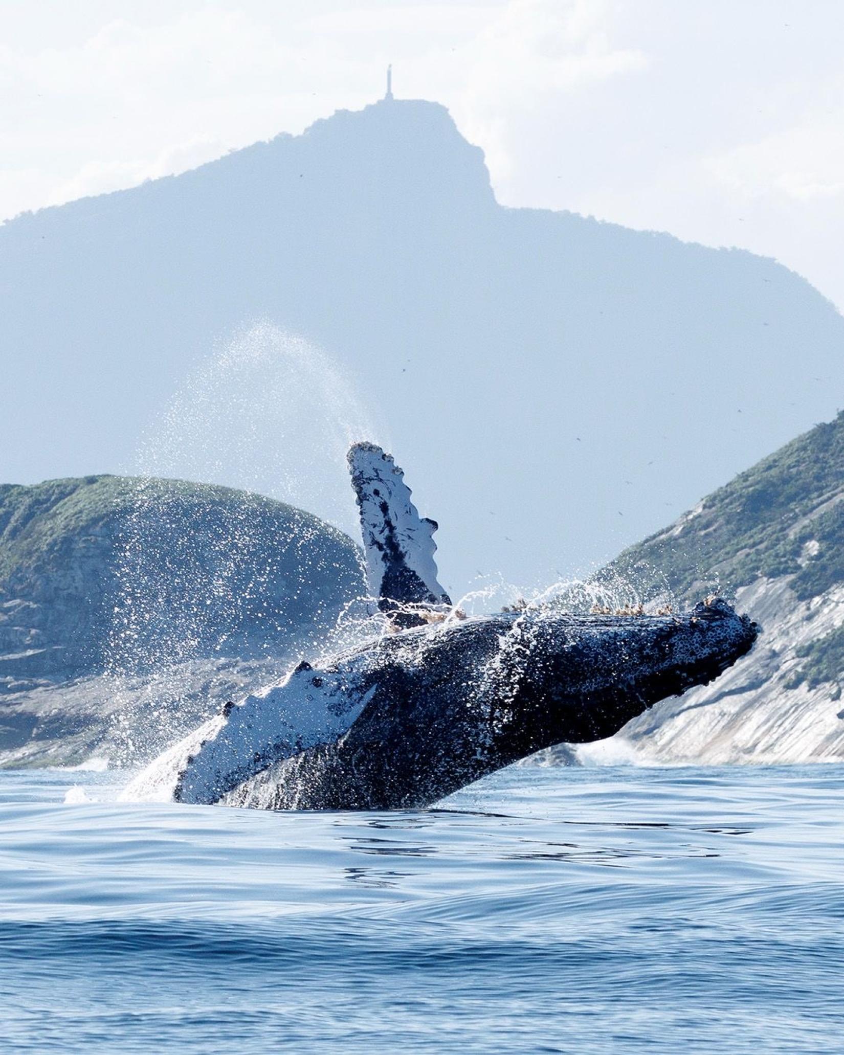 Inscrições abertas para eventos da Conferência da Década do Oceano no Rio de Janeiro