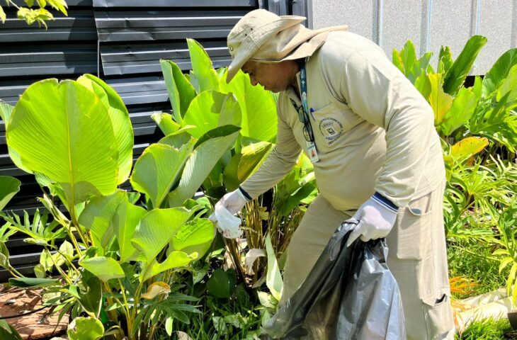Mato Grosso do Sul registra mais de 10 mil casos de chikungunya em 2023