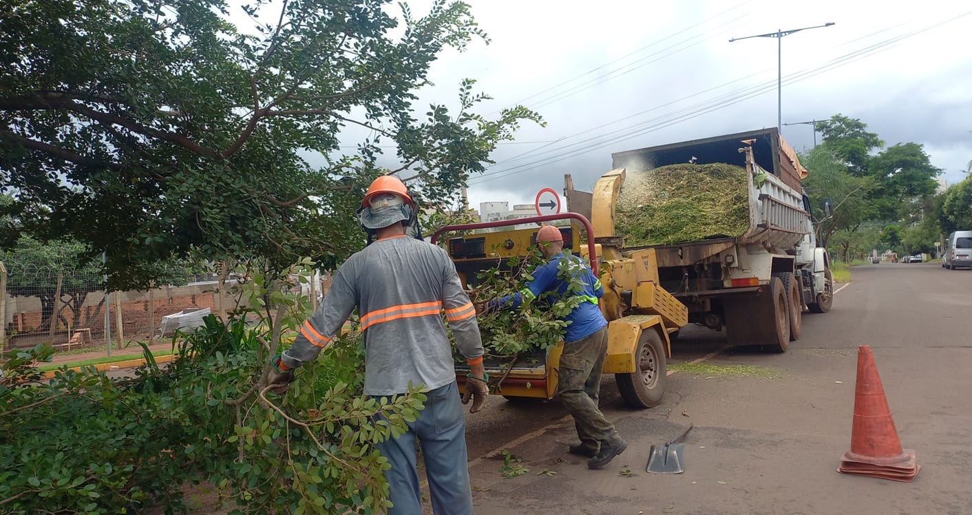 Campo Grande capacita equipes para prevenir quedas de árvores