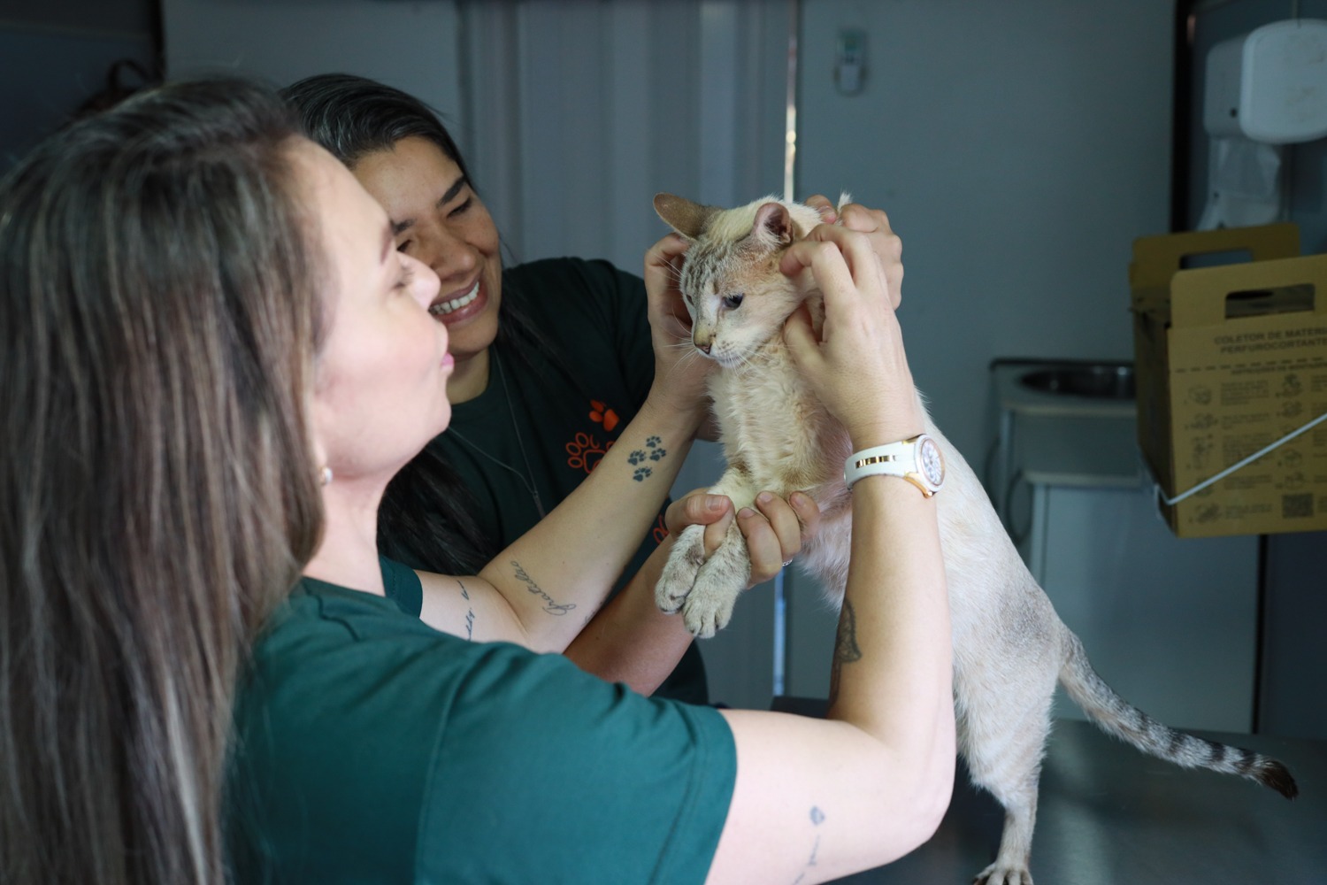 Subea alerta sobre riscos da vacina anti-cio em pets: entenda os perigos