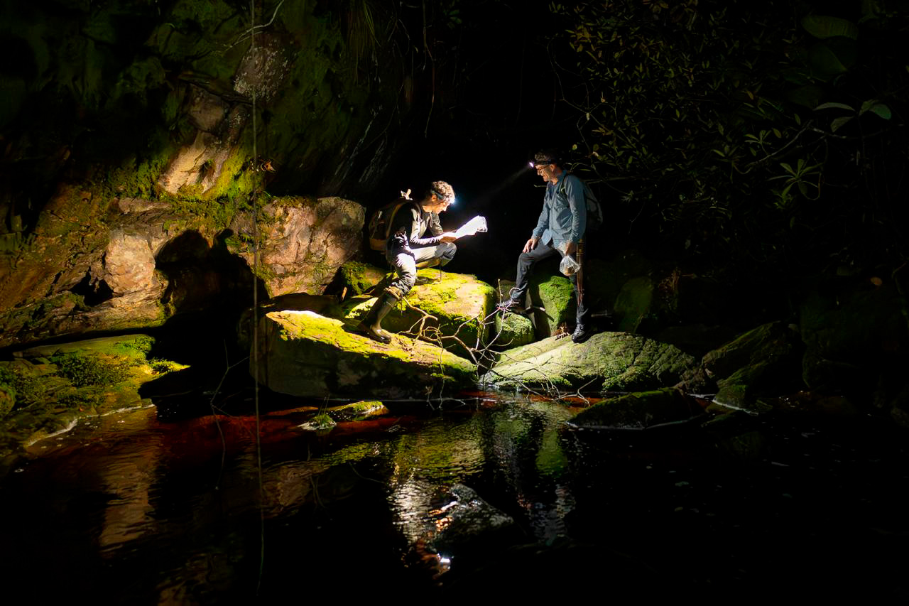 Expedição Científica Explora Tepuis da Serra do Aracá na Amazônia