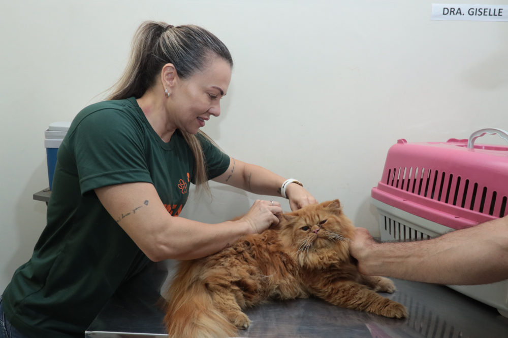 Atendimento Veterinário Gratuito Chega ao Jardim Carioca com a Subea