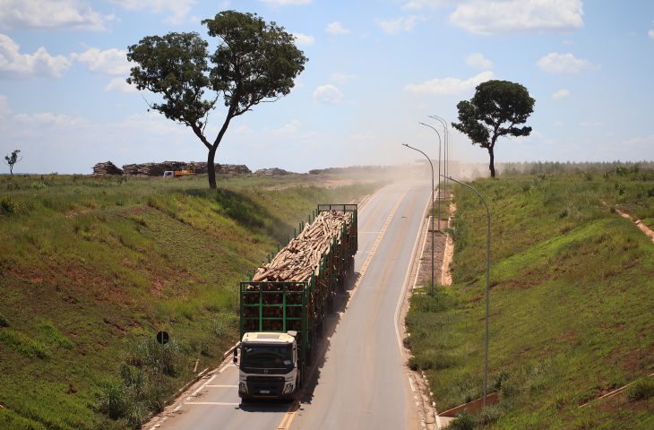 Mato Grosso do Sul Avança em Logística com Investimentos e Planejamento