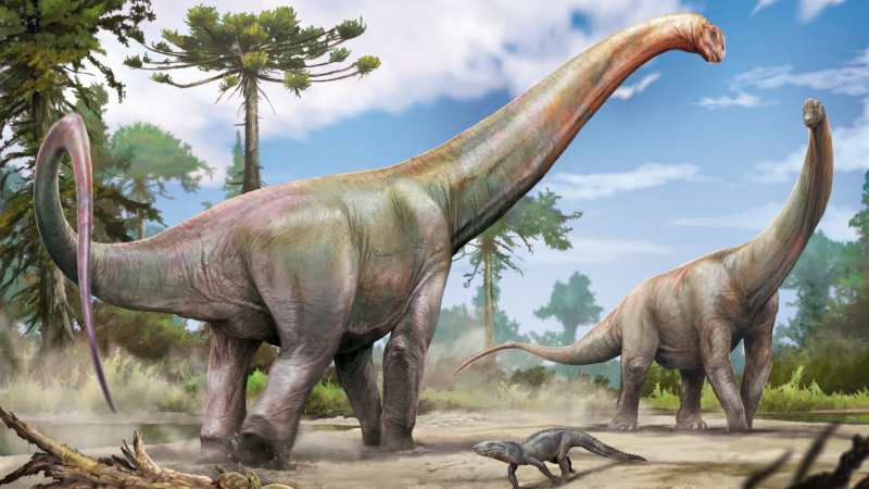 Novo dinossauro de 20 metros é descoberto no Maranhão com parentes europeus