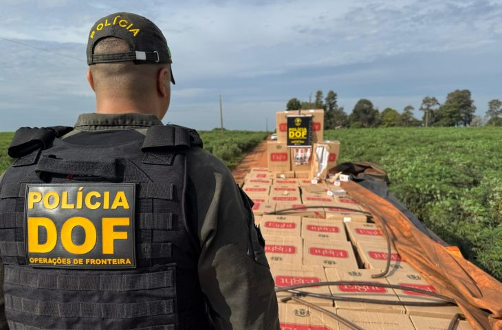 DOF desarticula R$ 320 milhões em crimes no primeiro semestre de 2026
