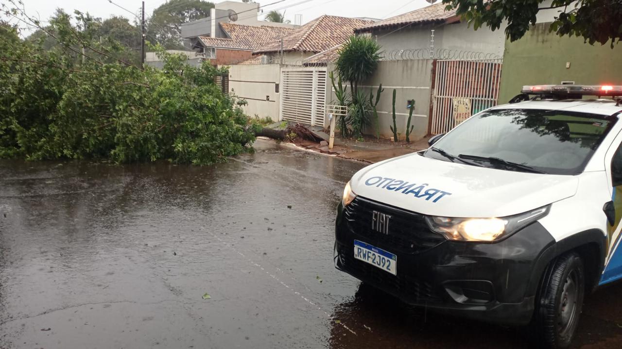 Alerta Amarelo: Tempestade é Prevista em Campo Grande a Partir de Amanhã