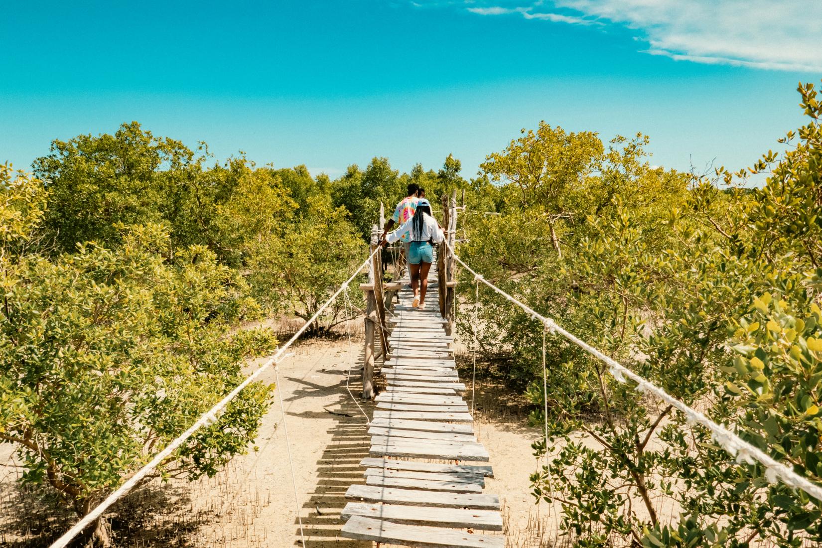 ONU Turismo promove evento sobre turismo de baixo carbono e resiliência
