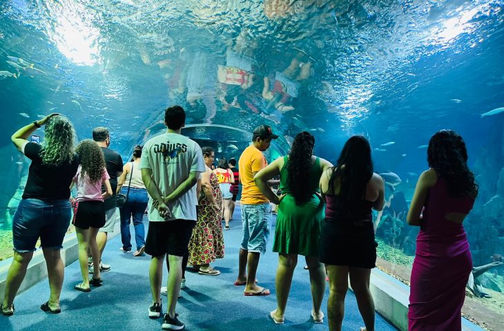 Bioparque Pantanal celebra quatro anos como referência mundial em conservação