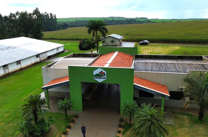 Fundação MS: Transformando Pesquisa em Decisões Seguras para o Agro em MS