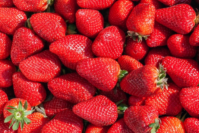 Peptídeo de Rã do Cerrado Aumenta Vida Útil do Morango em Experimentos