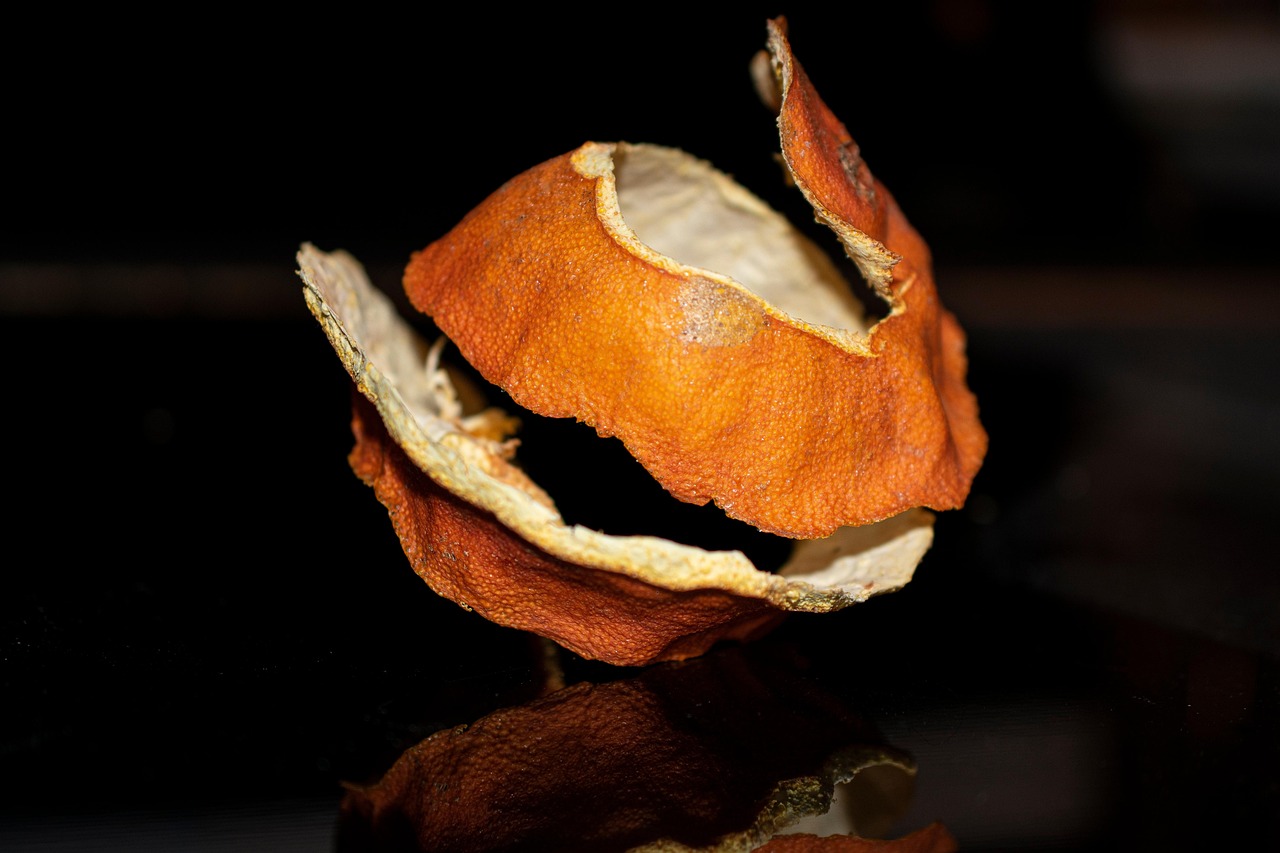 Resíduos de Laranja: Pesquisa Revela Potencial de Compostos Bioativos