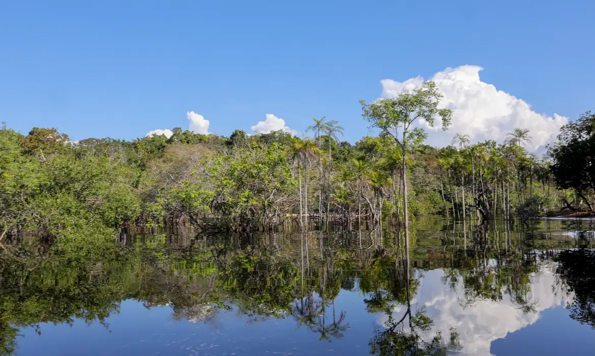 Brasil mobiliza R$ 179 bi para acelerar transição ecológica até 2026