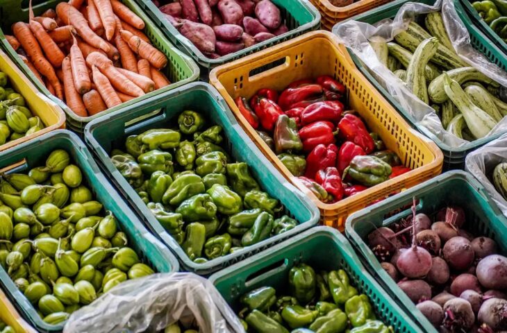 SES Lança Painel para Monitorar Situação Alimentar em MS no Dia Mundial da Alimentação