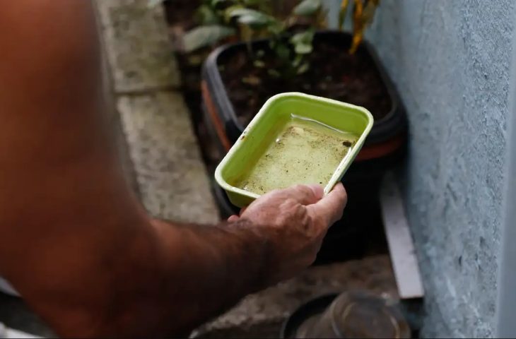 Mato Grosso do Sul inicia vacinação piloto contra chikungunya em Dourados