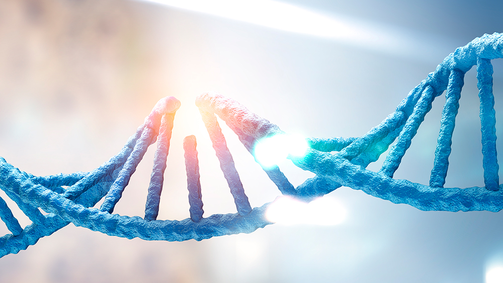 Estudo revela que falha no reparo do DNA materno gera mutações embrionárias