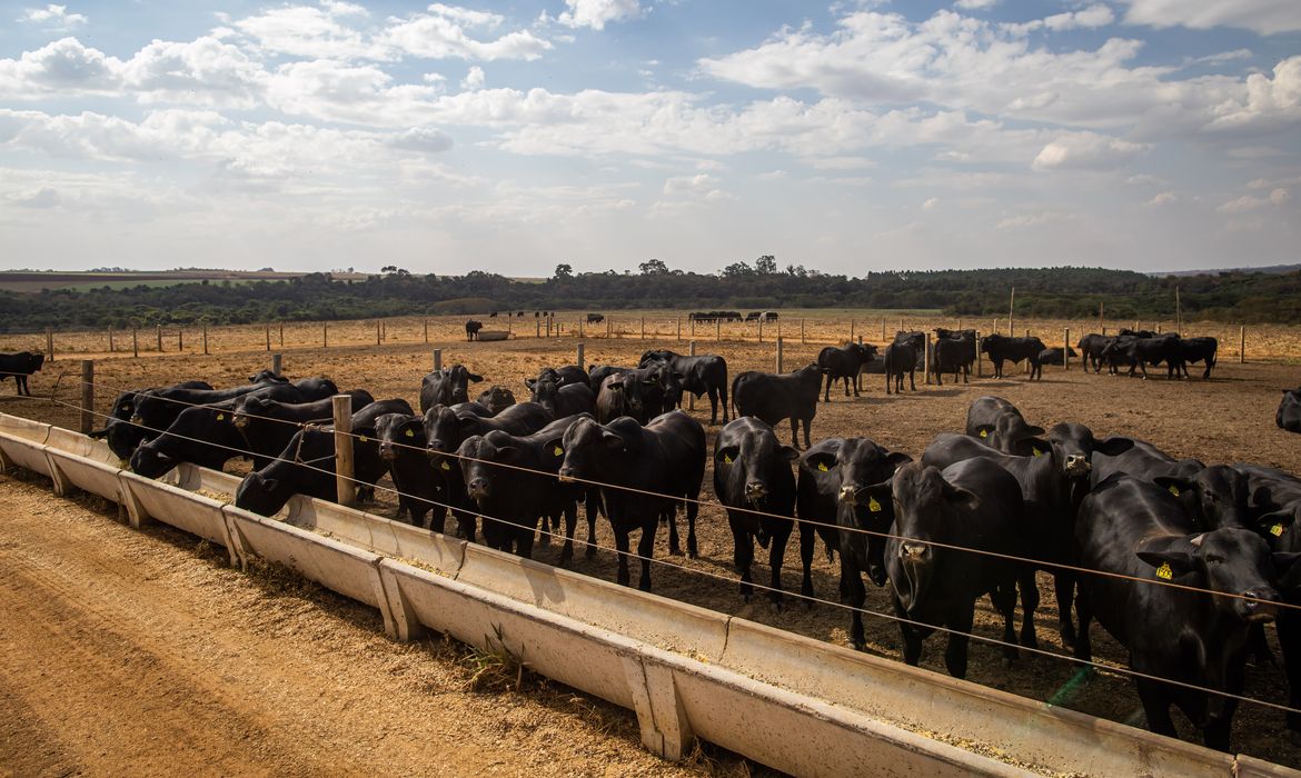 Economia brasileira cresce 2,5% em 2025 com alta na agropecuária