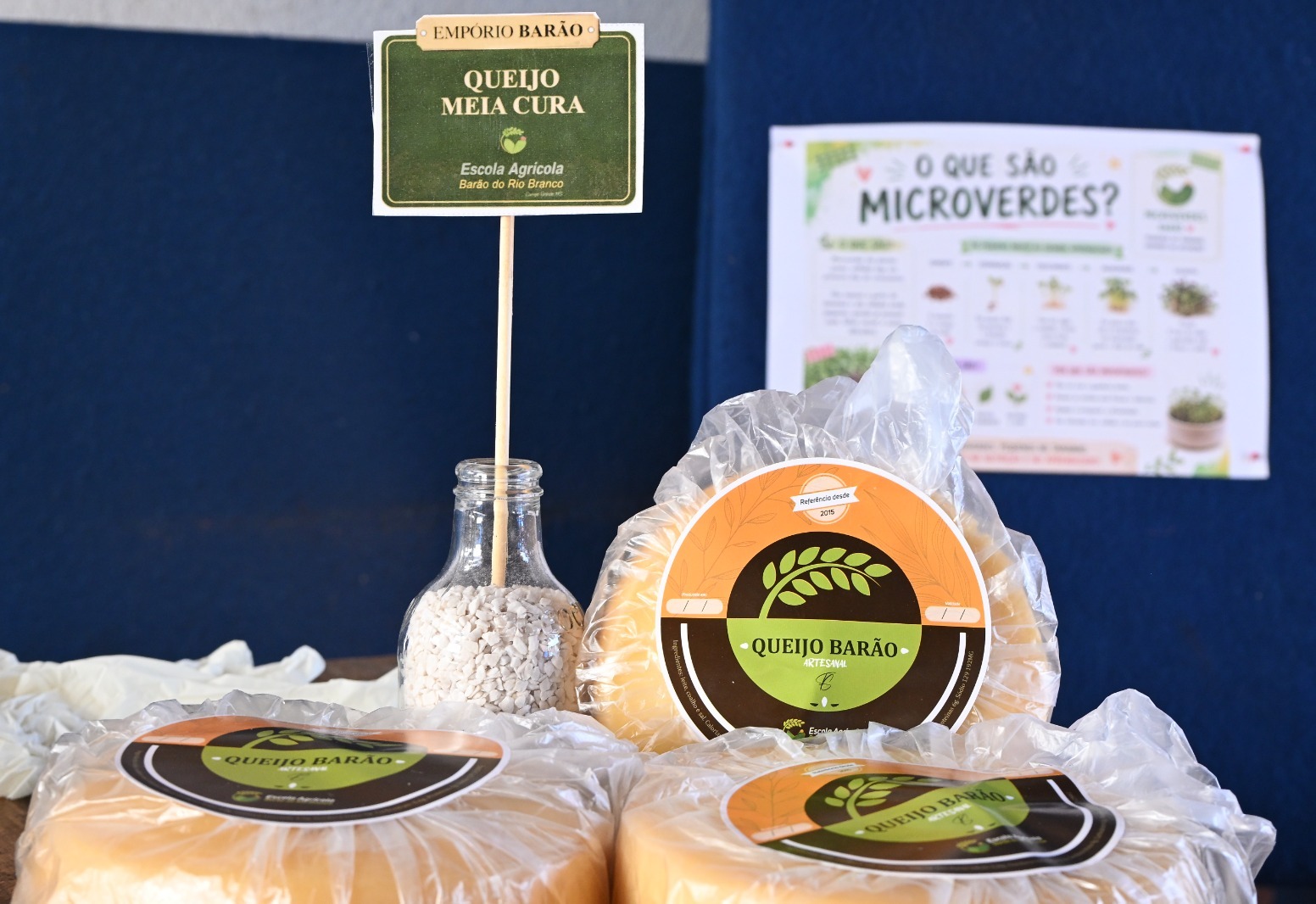 Alunos de Rochedinho produzem mil queijos para a 9ª Festa do Queijo