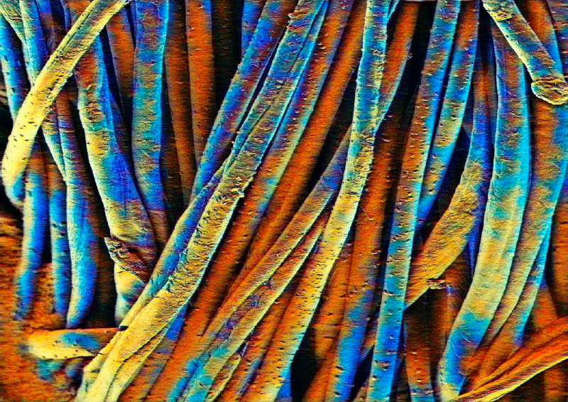 Artista brasileiro destaca-se no Festival Internacional de Nanoarte no Japão
