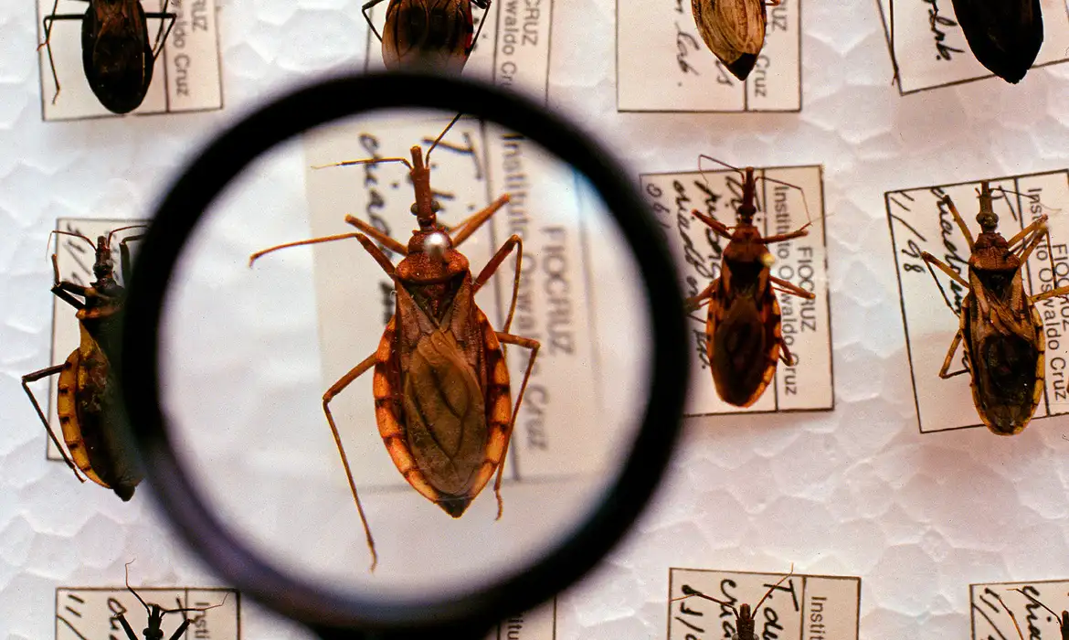 Ministério da Saúde destina R$ 12 milhões para combate à doença de Chagas