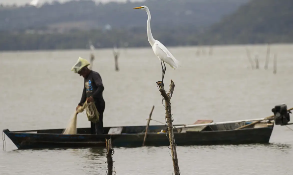 Novas regras do seguro-defeso visam combater fraudes e garantir benefício a pescadores